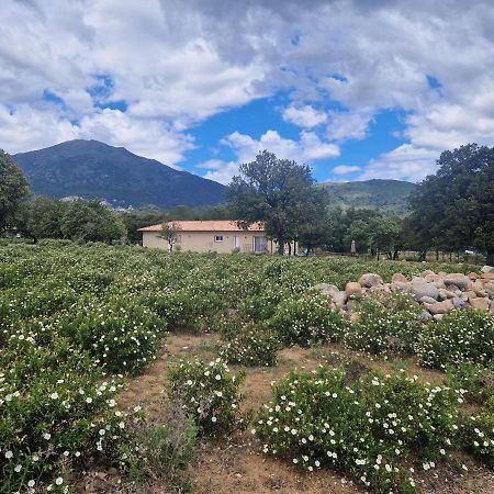 Domaine U Filanciu, Maison Ghjulia avec piscine - Centre Corse Moltifao Exterior foto