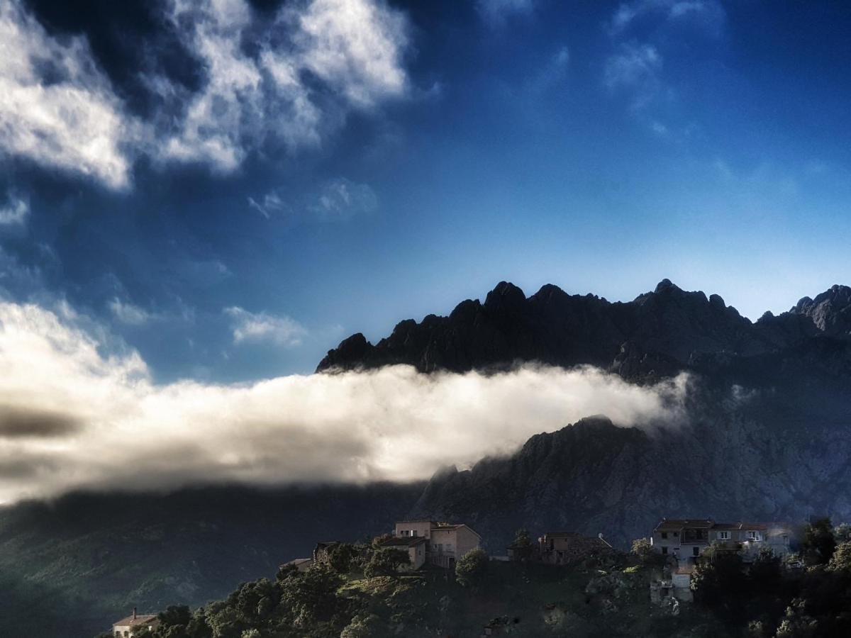 Domaine U Filanciu, Maison Ghjulia avec piscine - Centre Corse Moltifao Exterior foto