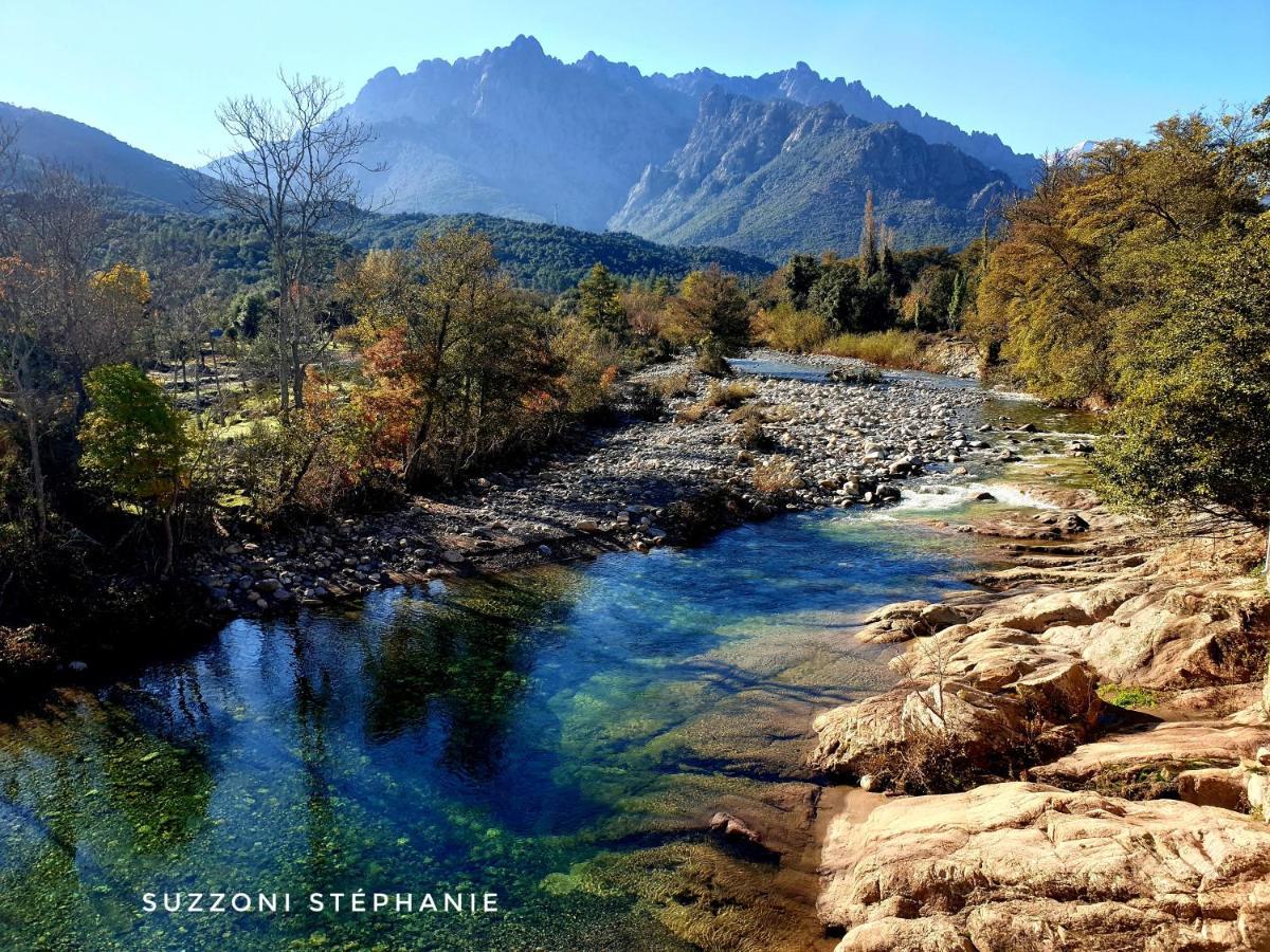 Domaine U Filanciu, Maison Ghjulia avec piscine - Centre Corse Moltifao Exterior foto